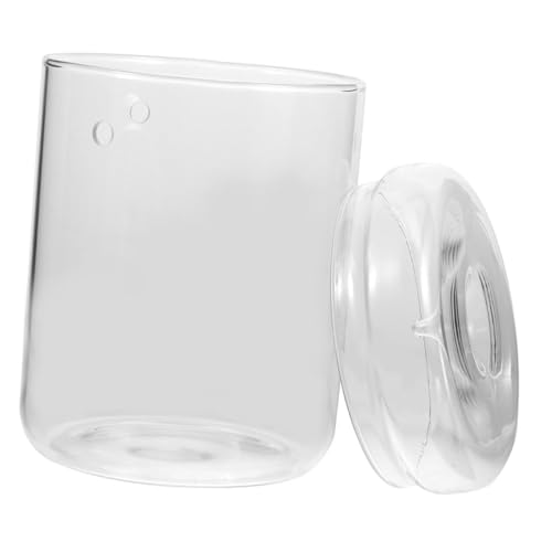 TOGEVAL Mikro Landschaftsbehälter für Kreative Bürodekoration Ökologische Glasflasche für Sukkulenten und Pflanzen Langlebig und Leicht für Garten von TOGEVAL