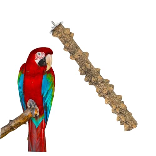 TOGEVAL Natürliche Holzsitzstange Vogelkäfigspielzeug Papageien Kauspielzeug Sicher für Nymphensittiche Wellensittiche Kleine Vögel Geeignet von TOGEVAL