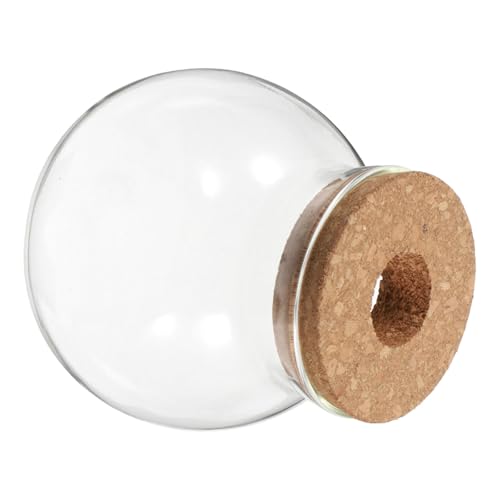 TOGEVAL Terrarium Mit Korkdeckel Für Pflanzen Transparentes -vase Für Sukkulenten Moos Und Luftpflanzen Kompakte Design Für Kleine Räume Und Kreative Dekoration von TOGEVAL