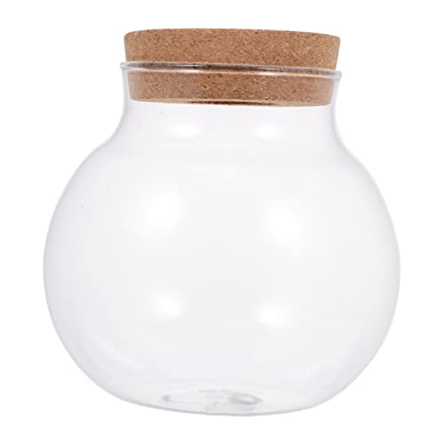 TOGEVAL Glas-Terrarium Flasche Für Sukkulenten Und Moos Kreatives Ökosystem Für Zuhause Und Büro Transparentes Pflanzgefäß Mit Glatter Oberfläche Zur Dekoration Und Aufbewahrung TOGEVAL Glas-Terrarium Flasche Für Sukkulenten Und Moos Kreatives Ökosystem Für Zuhause Und Büro Transparentes Pflanzgefäß Mit Glatter Oberfläche Zur Dekoration Und Aufbewahrung von TOGEVAL