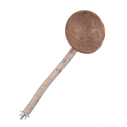 TOGEVAL Kokosnuss-Schale Schlafnest Für Vögel Naturbelassene Kokosnuss Als Futter Und Spielplatz Für Papageien Und Andere Haustiere Stabiler Stand Für Schlaf Und Spiel TOGEVAL Kokosnuss-Schale Schlafnest Für Vögel Naturbelassene Kokosnuss Als Futter Und Spielplatz Für Papageien Und Andere Haustiere Stabiler Stand Für Schlaf Und Spiel von TOGEVAL