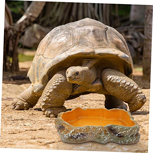 TOGEVAL Reptilien Futter und Wassernapf rutschfeste Schildkröten Schale für Terrarien Geeignet für Eidechsen Geckos Schlangen und Kleine Reptilien Glatte Oberfläche gegen Ausbruch TOGEVAL Reptilien Futter und Wassernapf rutschfeste Schildkröten Schale für Terrarien Geeignet für Eidechsen Geckos Schlangen und Kleine Reptilien Glatte Oberfläche gegen Ausbruch von TOGEVAL