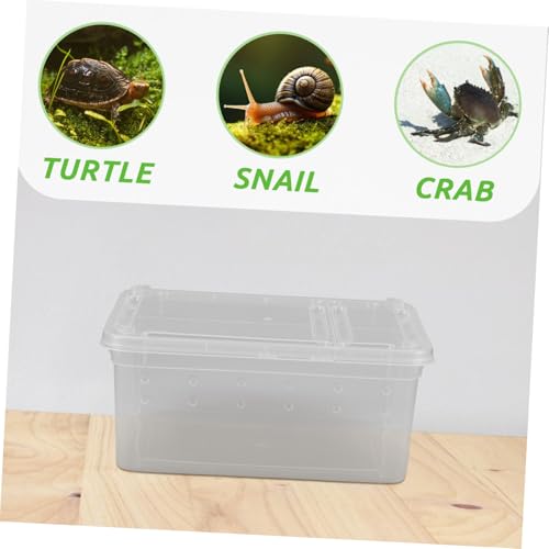 TOGEVAL Reptilien Futterbox Klein Transparent Wiederverwendbar Langlebig für Spinnen Eidechsen Schildkröten Frösche Vielseitiger Terrarienbehälter Praktisch zur Pflege und Fütterung von TOGEVAL
