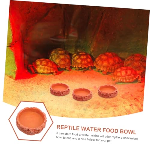 TOGEVAL Reptilien Futternapf Wassernapf aus Robustem Harz für Terrarium Schildkröten Eidechsen Kleine Haustiere rutschfest Leicht zu Reinigen Geeignet für Reptilien Vögel Igel und TOGEVAL Reptilien Futternapf Wassernapf aus Robustem Harz für Terrarium Schildkröten Eidechsen Kleine Haustiere rutschfest Leicht zu Reinigen Geeignet für Reptilien Vögel Igel und von TOGEVAL