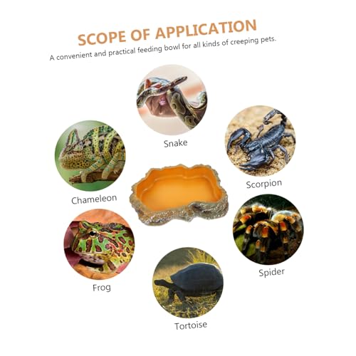 TOGEVAL Reptilien Wasserschale Terrarium Futternapf für Eidechsen Schildkröten Schlangen Futter Trinkschale aus Harz für Kleine Reptilien Geckos und Landschildkröten TOGEVAL Reptilien Wasserschale Terrarium Futternapf für Eidechsen Schildkröten Schlangen Futter Trinkschale aus Harz für Kleine Reptilien Geckos und Landschildkröten von TOGEVAL