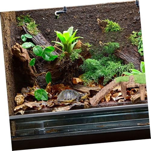 TOGEVAL Schildkröten Sonnenplattform aus Resin Aquarium Dekoration Kletter und Ruheplattform für Wasserschildkröten Reptilienbecken Zubehör Langlebig und Naturgetreu Gestaltet TOGEVAL Schildkröten Sonnenplattform aus Resin Aquarium Dekoration Kletter und Ruheplattform für Wasserschildkröten Reptilienbecken Zubehör Langlebig und Naturgetreu Gestaltet von TOGEVAL