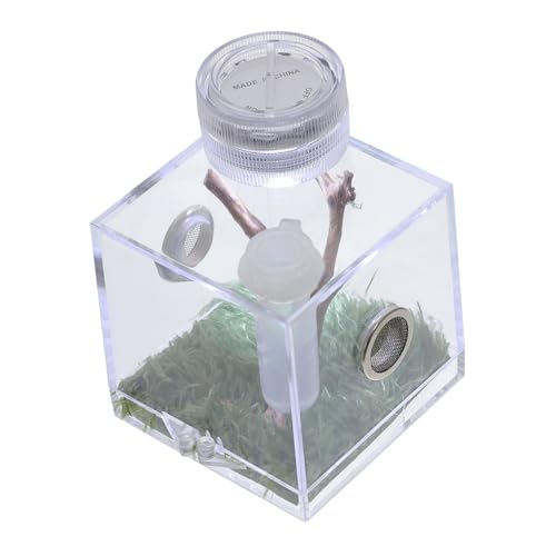 TOGEVAL Transparente Kompakte Springerspinnen Aufzuchtbox mit Integrierter Beleuchtung Sicherem Material Leicht und Tragbar für Insekten Kleine Reptilien und Spinnen zur Beobachtung und TOGEVAL Transparente Kompakte Springerspinnen Aufzuchtbox mit Integrierter Beleuchtung Sicherem Material Leicht und Tragbar für Insekten Kleine Reptilien und Spinnen zur Beobachtung und von TOGEVAL