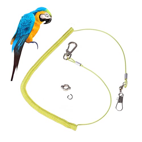 TOGEVAL 3m Verstellbare Papageienleine Mit Elastischem Training Seil Outdoor-fluggeschirr Für Vögel Klauenring Zufälliger Farbe TOGEVAL 3m Verstellbare Papageienleine Mit Elastischem Training Seil Outdoor-fluggeschirr Für Vögel Klauenring Zufälliger Farbe von TOGEVAL