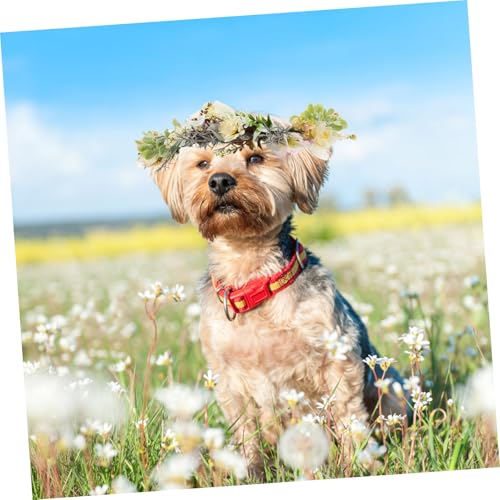 TOGEVAL Verstellbares Hundehalsband Hochzeit Blumenkranz Dekorativer Welpen Blumenhalsband mit Schleife für Haustierfotos Hochzeitsfeier Haustierdekoration von TOGEVAL