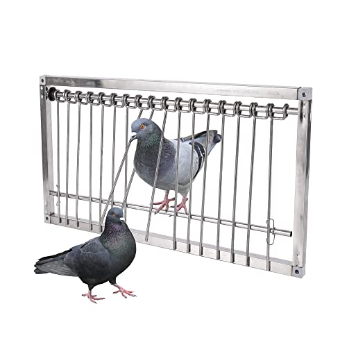1PC Taubenfalle Tür Edelstahl Eingang Falle geeignet für Wachteln Geflügel Vögel (50 * 26 cm) von TOHONGADON
