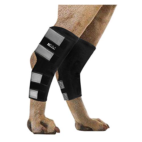 TOKANITY Sprunggelenkbandage für Hinterbeine, 2 Stück, Gelenkbandage für Verstauchungen, Hinterbeinstütze bei Arthritis, Stabilität nach Verletzungen, Hundehock (Knöchel) Unterstützung (M) von TOKANITY