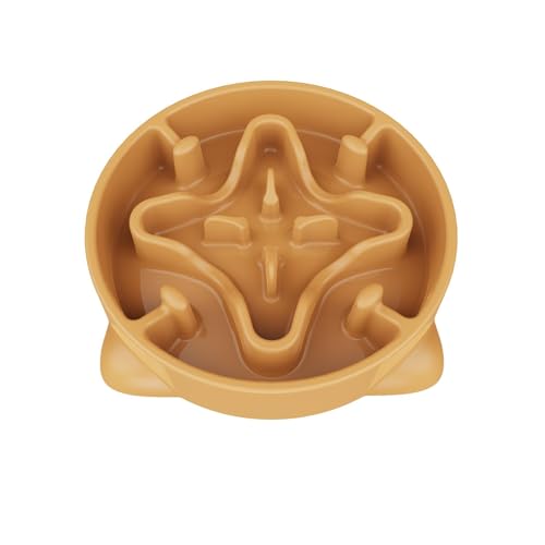 Antischlingnapf Hunde, 22cm Anti Schling Napf Hundenapf Futternapf für Kleiner und Mittlerer Hund (M, Orange) von TOKAYIFE