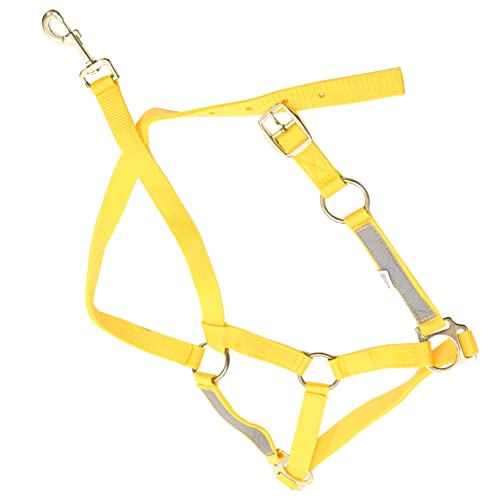 TOKIDNY Halfter Für Pferde Reflektierendes Pferdehalfter Neon Praktisches Kopfgeschirr Für Pferde Cob Größe Ideal Für Outdoor Aktivitäten Und Pferdesport von TOKIDNY