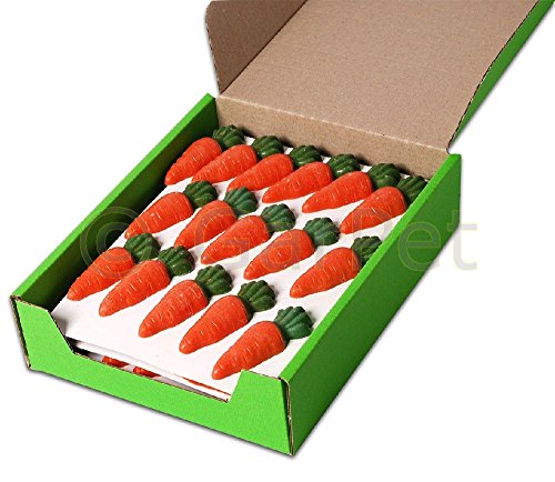 Nager gesunde Leckerlies kleine Karotten Ergänzungsfutter Snacks 84 Stück von Tommi