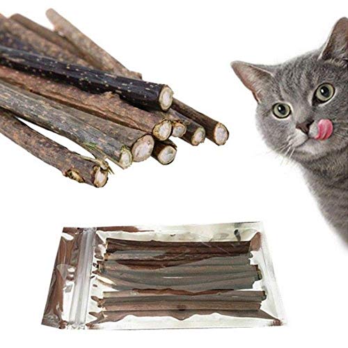 TOMMY LAMBERT 10x Katzenminze Sticks für Katzen Zahnpflege Kausticks aus echtem Matatabi Holz helfen spielerisch bei Mundgeruch & Zahnstein I Katzenspielzeug mit Katzenminze von TOMMY LAMBERT