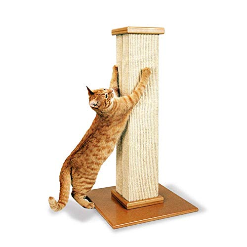 TONPOP Kratzbaum Eigentumswohnung Vertikaler Katzenkratzbaum Kratzfestes Klettergerüst für Katzen Robustes Klettergerüst für Katzen (Color : Wood, Size : One Size) g (Color : Wood, Size : On von Tonpop
