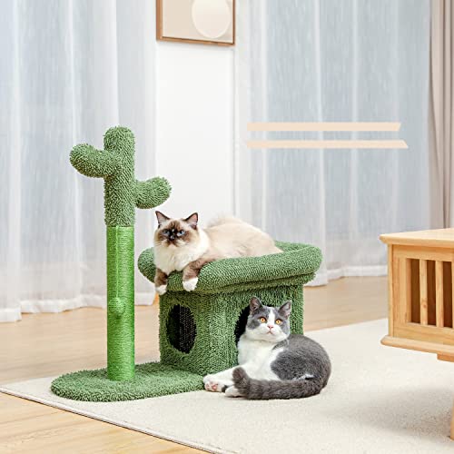 Tonpop Cactus Kratzbaum Kratzbaum mit Sisal-Kratzbaum für Indoor-Katzen, Katzenwohnung, Kitty-Spielhaus (Vert Talla ?nica) von TONPOP