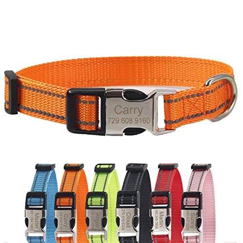 TONYFY Individuelle Nylon Hundehalsband, Personalisierte Reflektierende Haustier Halsband, Benutzerdefinierte Namen und Telefon Tag, mit Leine, für Große, Mittlere und Kleine Hunde (Orange, L) von TONYFY