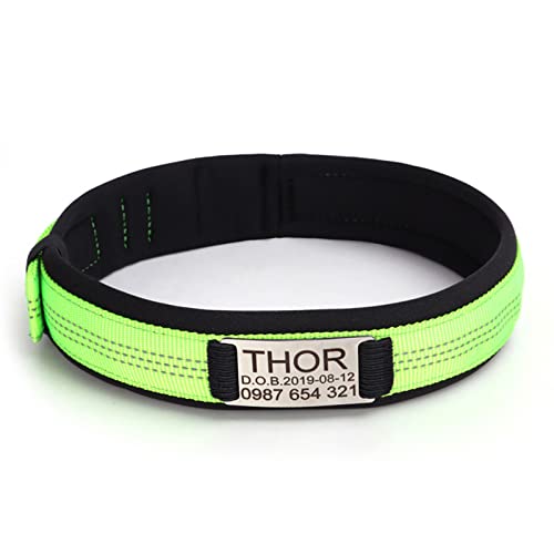 TONYFY Nylon Benutzerdefinierte Haustier Halsbänder Personalisierte Reflektierende Hundehalsbänder Kostenlose Gravierte ID Namensschild für Mittlere & Große Hunde Haustier Zubehör (Grasgrün-L) TONYFY Nylon Benutzerdefinierte Haustier Halsbänder Personalisierte Reflektierende Hundehalsbänder Kostenlose Gravierte ID Namensschild für Mittlere & Große Hunde Haustier Zubehör (Grasgrün-L) von TONYFY