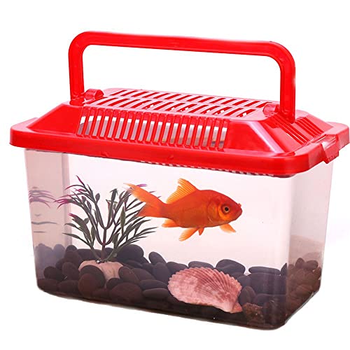 Schildkrötenbecken, tragbar, transparent, für Aquarium, Haustierprodukte, Goldfischbecken, Schildkrötenbecken, Hamsterbox (Farbe: S (13 x 9 x 9 cm)) (L (18 x 11 x 11 cm)) von TONZN