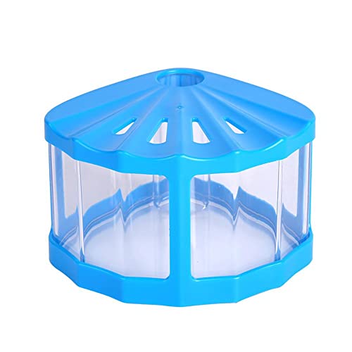 Schildkrötenpanzer, Mini-transparente Insektenbox mit Deckel, Schildkrötenpanzer, geeignet für Büro, Wohnzimmer, Couchtisch, Schreibtischdekoration (Farbe: Rosso) (Blau) von TONZN