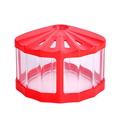 Schildkrötenpanzer, Mini-transparente Insektenbox mit Deckel, Schildkrötenpanzer, geeignet für Büro, Wohnzimmer, Couchtisch, Schreibtischdekoration (Farbe: Rosso) (Rosso) von TONZN