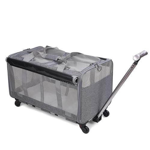 Katzentransport Hundeanhänger, Faltbar Hundewagen Bis 20kg, TOOSOAR Katzentransportbox mit Rollen große Katzen für 2 Katzen Hunde Katzentransport Hundeanhänger, Faltbar Hundewagen Bis 20kg, TOOSOAR Katzentransportbox mit Rollen große Katzen für 2 Katzen Hunde von TOOSOAR