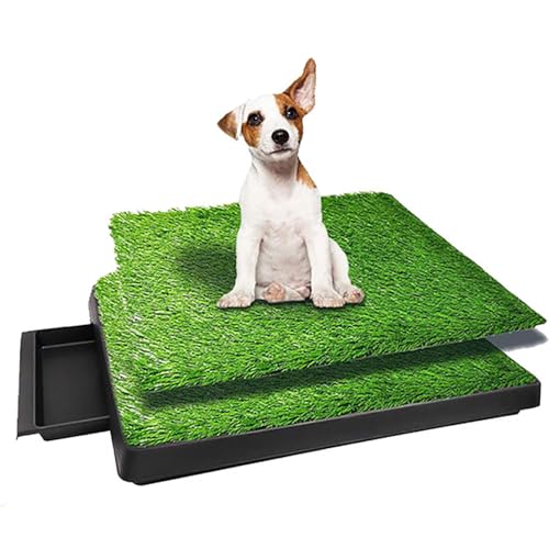 TOOSOAR Hundetoilette,63 X 51CM Kunstrasen Hundetoilette,mit Tablett und 2 Stück Kunstrasen,für Drinnen und Draußen, für Kleine Grosse ältere Hunde TOOSOAR Hundetoilette,63 X 51CM Kunstrasen Hundetoilette,mit Tablett und 2 Stück Kunstrasen,für Drinnen und Draußen, für Kleine Grosse ältere Hunde von TOOSOAR