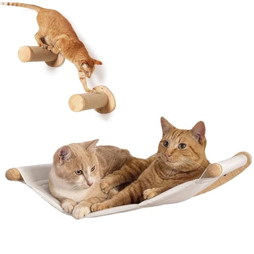 TOOSOAR Katzen Kletterwand Set,mit 2-er Treppen Katzenhängematte,Kängematten Katzen Wand bis zu 20kg,Katzen Wandelemente zum Schlafen und Ausruhen TOOSOAR Katzen Kletterwand Set,mit 2-er Treppen Katzenhängematte,Kängematten Katzen Wand bis zu 20kg,Katzen Wandelemente zum Schlafen und Ausruhen von TOOSOAR