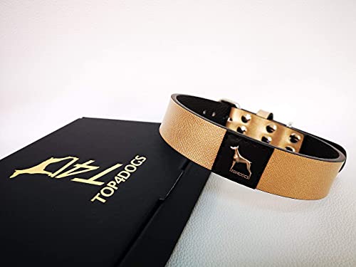 TOP4DOGS® Halsband für Hunde aus echtem Leder, handgefertigt, hergestellt in Italien, Größe L (51 - 59,5 cm) Farbe Aurum (Gold) von TOP4DOGS
