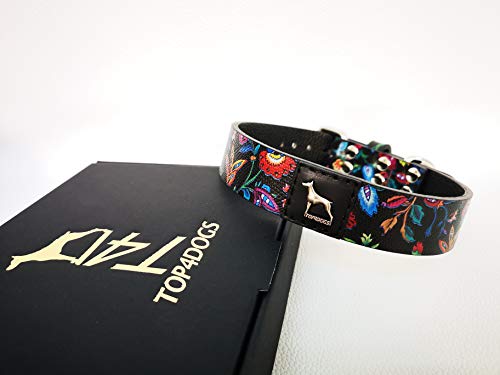 TOP4DOGS® Hundehalsband aus echtem Leder, handgefertigt, hergestellt in Italien, Größe M (45 - 53,5 cm) Farbe Orient von TOP4DOGS