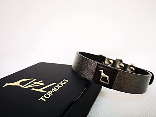 TOP4DOGS® Hundehalsband aus echtem Leder, handgefertigt, hergestellt in Italien, Größe S (39 - 47,5 cm) Farbe Titan von TOP4DOGS