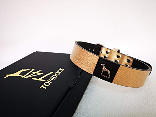 TOP4DOGS® Hundehalsband aus echtem Leder, handgefertigt, hergestellt in Italien, verschiedene Größen (L 51 - 59,5 cm), Farbe Aurum (Gold) von TOP4DOGS