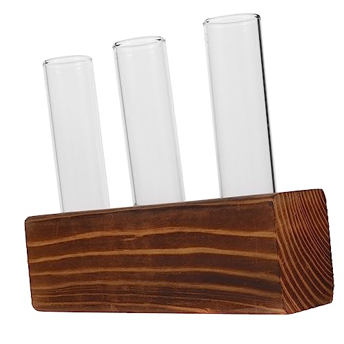 TOPBATHY 1 Satz Hydroponische Vase mit Holzständer Transparentes Pflanzen Terrarium für Pflanzenvermehrung Reagenzglas für Stilvolle Tischdekoration und Blumenarrangements TOPBATHY 1 Satz Hydroponische Vase mit Holzständer Transparentes Pflanzen Terrarium für Pflanzenvermehrung Reagenzglas für Stilvolle Tischdekoration und Blumenarrangements von TOPBATHY