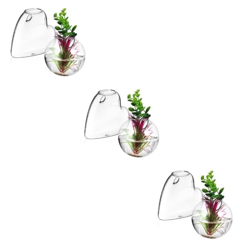 TOPBATHY 3 Sätze Glasvase Für Pflanzen Zum Aufhängen Wandaufhänger Zum Aufhängen Von Blumentöpfen Pflanzenständer Zum Aufhängen Von Töpfen Für Pflanzen Terrarien 2 Stück * 3 von TOPBATHY
