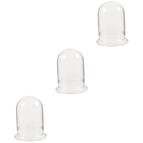 TOPBATHY 3 Stück Flaschengarten Terrarium mit Klarem Glasdom Ökologisches DIY Mikrolandschafts Flaschenpflanzengefäß Transparente Vase für Zimmerpflanzen Stilvolle Dekoration für Zuhause TOPBATHY 3 Stück Flaschengarten Terrarium mit Klarem Glasdom Ökologisches DIY Mikrolandschafts Flaschenpflanzengefäß Transparente Vase für Zimmerpflanzen Stilvolle Dekoration für Zuhause von TOPBATHY