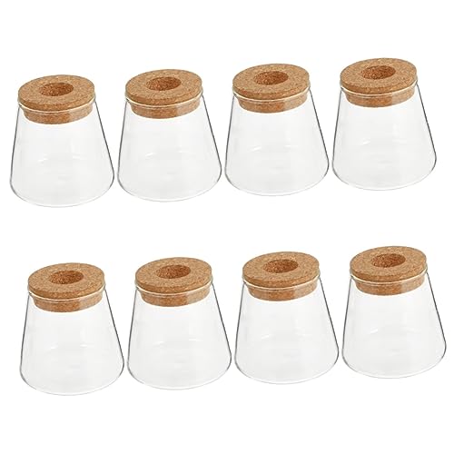 TOPBATHY 8 STK Eco-Flasche Terrarienpflanzen Terrarienbehälter aus Glas Wohnkultur Vase Dekoration für zu Hause hydrokultur pflanzenbehälter Spargel Container Hydroponische Flasche Anlage von TOPBATHY