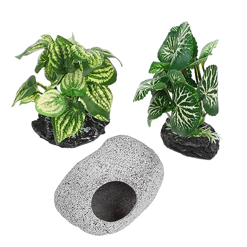 TOPBATHY Aquarienhöhle Aus Zartes Aquariengras Dekorative Pflanzen Für Aquarium Aquarienbedarf Mit Lebensechtem Design TOPBATHY Aquarienhöhle Aus Zartes Aquariengras Dekorative Pflanzen Für Aquarium Aquarienbedarf Mit Lebensechtem Design von TOPBATHY