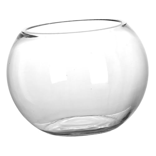 TOPBATHY Fischbecken Aus Glas Büro-Aquarium Mikro-landschaftstopf Transparentes Aquarium Kaktus-kinderzimmertopf Blasenschale Fischaquarium Terrarienkugel Aus Glas Pflanze Kunsthandwerk von TOPBATHY