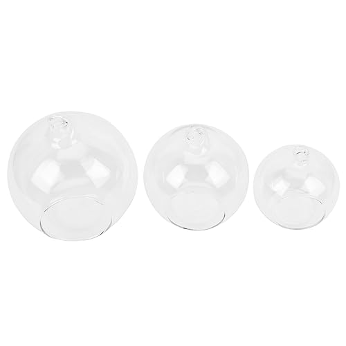 TOPBATHY 3stücke Hängende Glasvasen Dekorative Terrarium Behälter Für Sukkulenten Und Pflanzen Praktische Aufbewahrungsflaschen Mit Holzstopfen von TOPBATHY