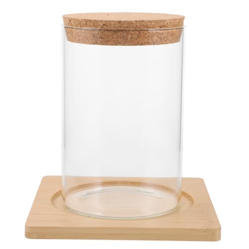 TOPBATHY Moos-Öko-Flasche Wohnkultur Terrarienglas Anlage Pflanzenterrarium Dekoration Kugelvase aus Glas Behälter für hydroponische Pflanzen Vermehrungsgefäße Pflanzvase für den Tisch von TOPBATHY