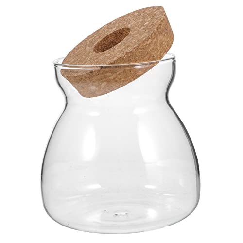 TOPBATHY Terrarium Behälter für Hydrokultur Pflanzen Transparente Pflanzvase Deckel für Sukkulenten und Blumen Vielseitig Einsetzbar zur Dekoration Wohnräumen von TOPBATHY