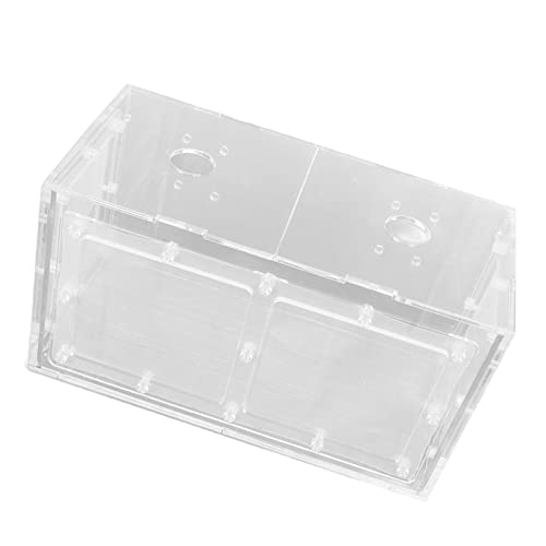 TOPINCN Aquarium-Brüterei, Transparente Fischzuchtbox, Sicher für Kleine Aquarienfische (20 * 10 * 11CM) von TOPINCN