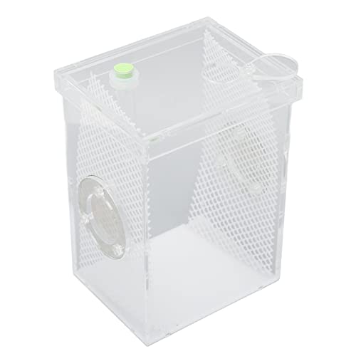 TOPINCN Reptile Breeding Box, Reptile Enclosure Tank Durable Mini Belüftetes Acryl für Wirbellose für Mantis für Cricket (L) von TOPINCN