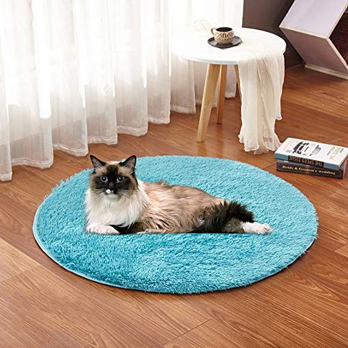 TOPINCN Kleine Dogscats Plüschmatte Elektrische Deckenheizkissen, USB -Ladegrenzfläche, Bequemes Handgefühl, Konstante Temperatur 28 ℃, DREI Farben (Königsblau) von TOPINCN