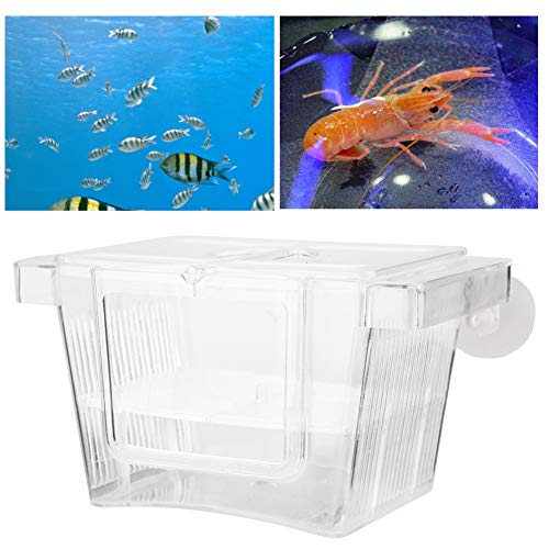 TOPINCN Transparente Isolationsbox der Züchtung von Acrylfischzüchtungen von TOPINCN