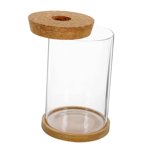 TOPPERFUN 1 Satz Pflanzen Glaskaraffe mit DIY Landschaftsflasche für Tischdekoration für Pflanzen und Blumen Vielseitig Einsetzbar Aufbewahrung TOPPERFUN 1 Satz Pflanzen Glaskaraffe mit DIY Landschaftsflasche für Tischdekoration für Pflanzen und Blumen Vielseitig Einsetzbar Aufbewahrung von TOPPERFUN