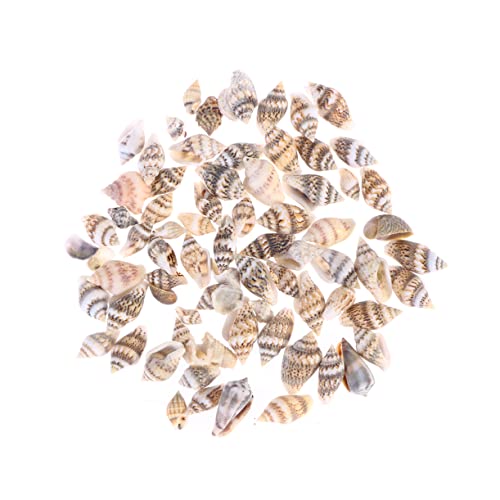 TOPPERFUN 500 Stück Natürliche Muscheln für Dekoration Bunte Deko für Zuhause und Aquarien für Bastelprojekte und Kreative Gestaltungen TOPPERFUN 500 Stück Natürliche Muscheln für Dekoration Bunte Deko für Zuhause und Aquarien für Bastelprojekte und Kreative Gestaltungen von TOPPERFUN