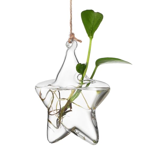 TOPPERFUN Hängende Glasvase 12 9 X 9 4 X 4 4 cm Transparente Hydrokultur-Pflanzenvermehrungsstation Einfacher Blumentopf Für Den Innenbereich Dekoration Für Das Wohnzimmer Im Homeoffice von TOPPERFUN