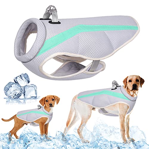 Hund Kühlung Weste Geschirr mit D-Ring für große mittlere kleine Hunde Cooler Jacke Atmungsaktive Mesh Hundeweste Sommer kühl und bequem Hundemantel mit reflektierenden, Sicherheit Sun-proof (Grün, S) Hund Kühlung Weste Geschirr mit D-Ring für große mittlere kleine Hunde Cooler Jacke Atmungsaktive Mesh Hundeweste Sommer kühl und bequem Hundemantel mit reflektierenden, Sicherheit Sun-proof (Grün, S) von TOPSOSO
